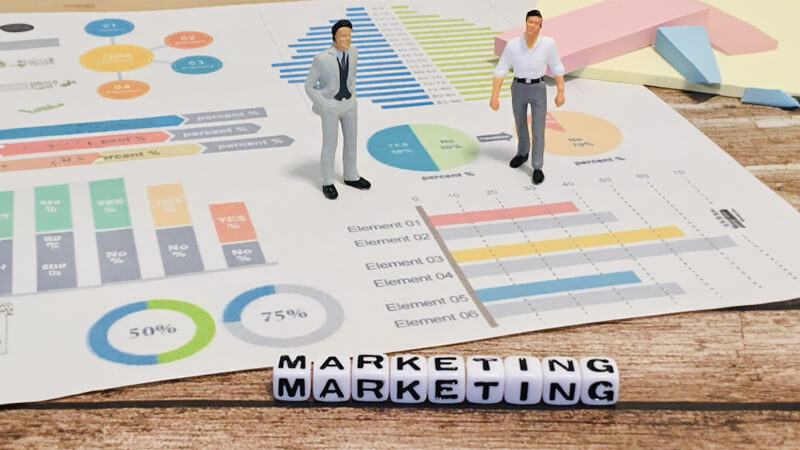 リード　分類　モデル